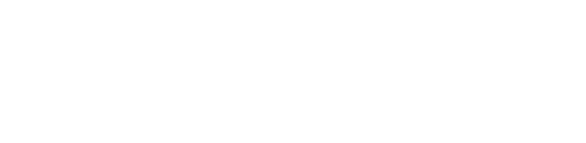 Camerasystemen