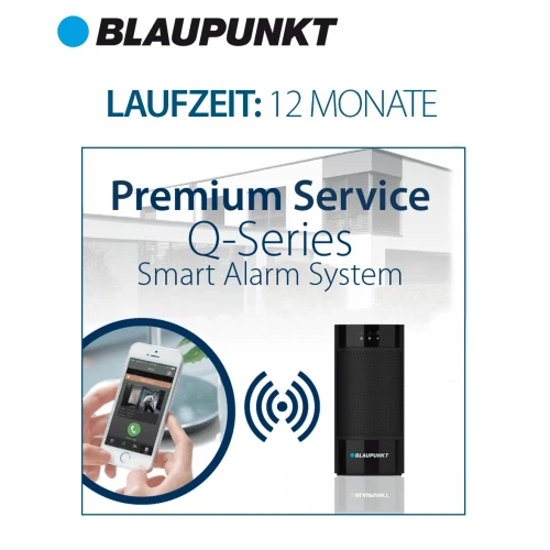 Servicio Blaupunkt Premium 12 meses