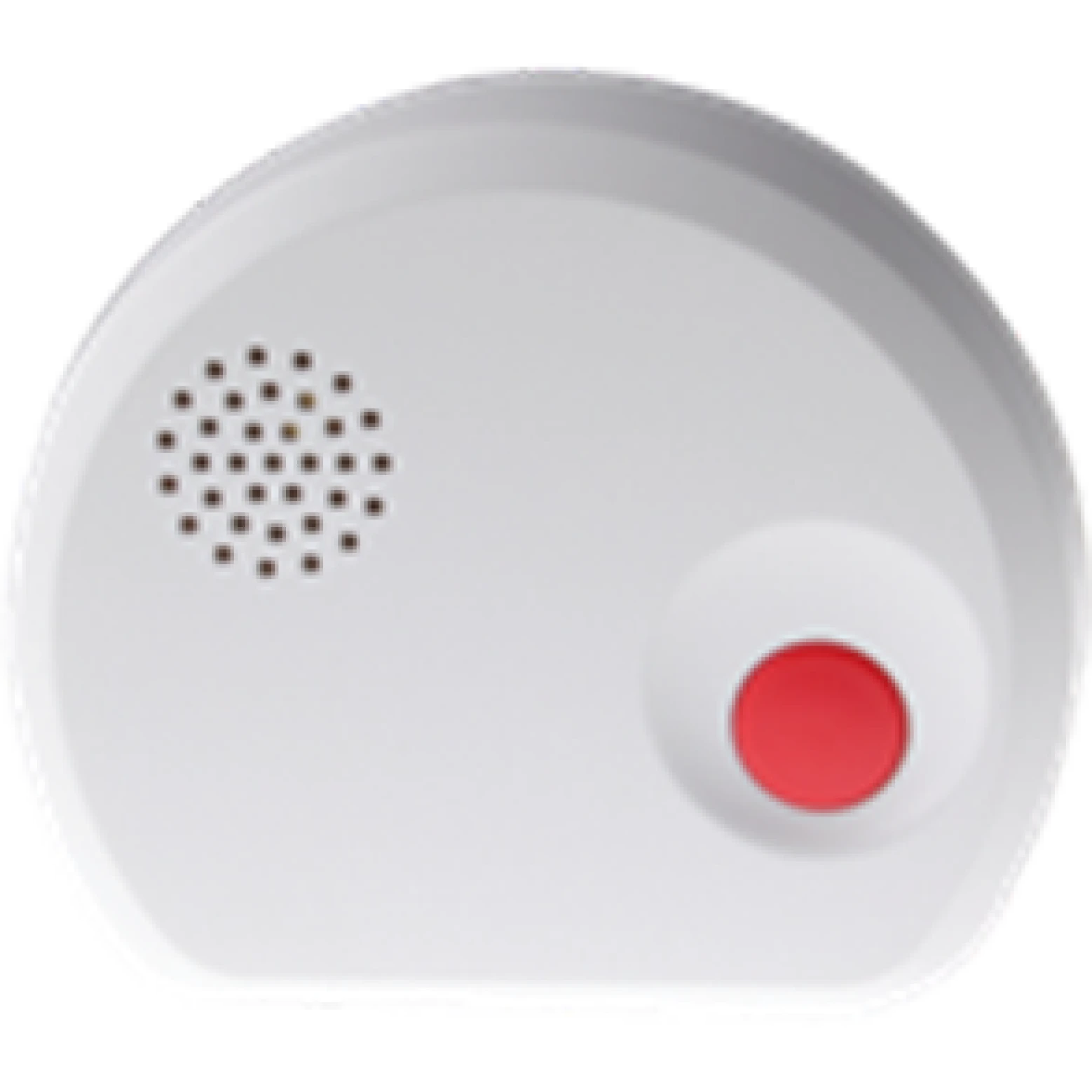 Detector de agua inalámbrico Blaupunkt WS-S1